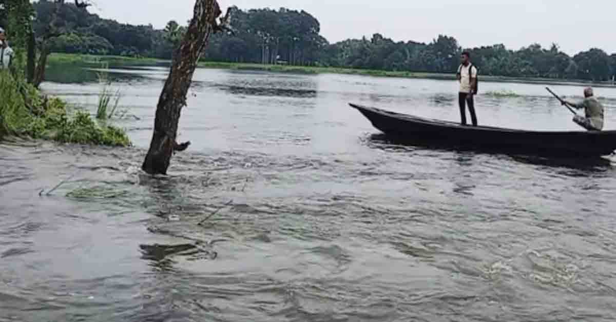 মাগুরার বিভিন্ন উপজেলার শত শত হেক্টর জমির ধান ও মাছের ঘের তলিয়ে গেছে